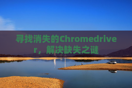 寻找消失的Chromedriver，解决缺失之谜