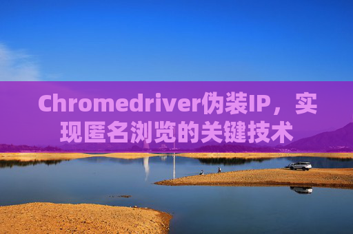 Chromedriver伪装IP，实现匿名浏览的关键技术